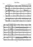 Fur Elise (Score): A String Orchestra Arrangement for Elementary to Middle School Age Youth Orchestras!!