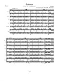 Autumn from the Four Seasons for Elementary to Middle School Age Youth String Orchestras – Score