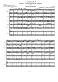 A Little Touch of Vivaldi's Violin Concerto in A Minor for String Orchestra (Intermediate to Advanced)