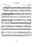 Fur Elise (Rehearsal Piano Part): A String Orchestra Arrangement for Elementary to Middle School Age Youth Orchestras!